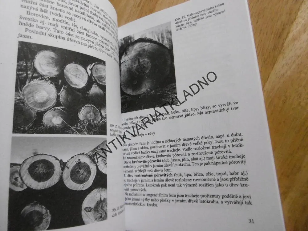 MATERIÁLY PRO 1 ROČ. SOU OBORŮ, ZPRACOVÁNÍ DŘEVA A VÝROBA HUDEBNÍCH NÁSTROJŮ, J. ŽÁK