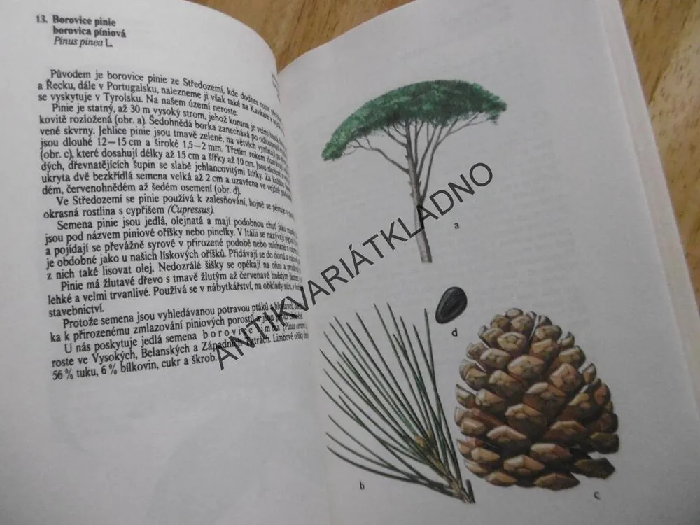 ATLAS CIZOKRAJNÝCH ROSTLIN, JARMILA MLADÁ, FRANTIŠEK PROCHÁZKA,**an