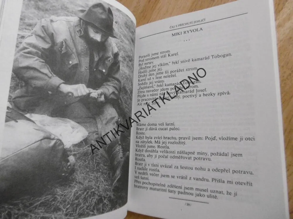ČAJ S PŘÍCHUTÍ JEHLIČÍ, TRAMPSKÝ CANCÁK, JAN VYČÍTAL