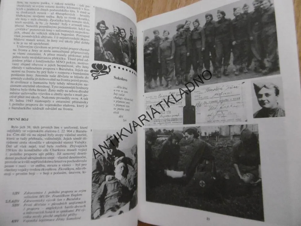 ŽENY BOJUJÍCÍ V ZAHRANIČNÍCH JEDNOTKÁCH ZA DRUHÉ SVĚTOVÉ VÁLKY