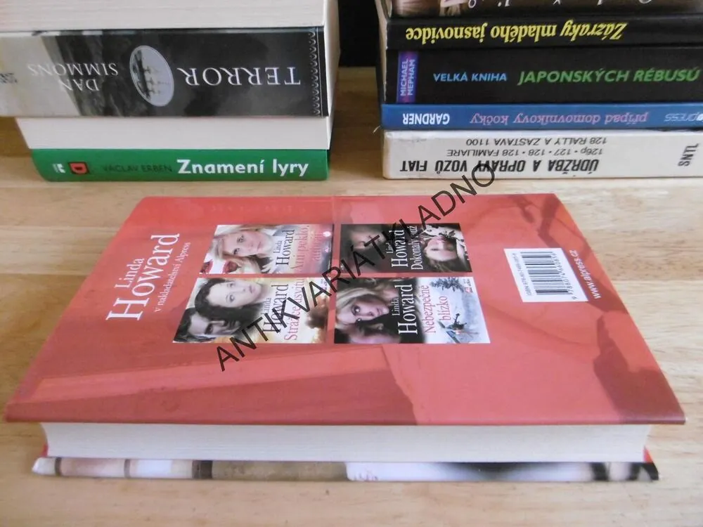 NEBEZPEČNÉ VYHLÍDKY, LINDA HOWARD, **an