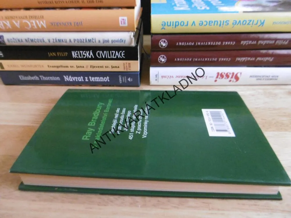 VZPOMÍNKY NA VRAŽDU, RAY BRADBURY, **an