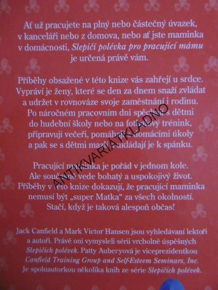 SLEPIČÍ POLÉVKA PRO PRACUJÍCÍ MÁMU,**an