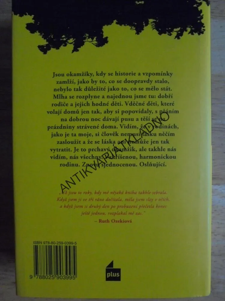 VŠICHNI JSME Z TOHO ÚPLNĚ NA VĚTVI, KAREN JOY FOWLEROVÁ, **an