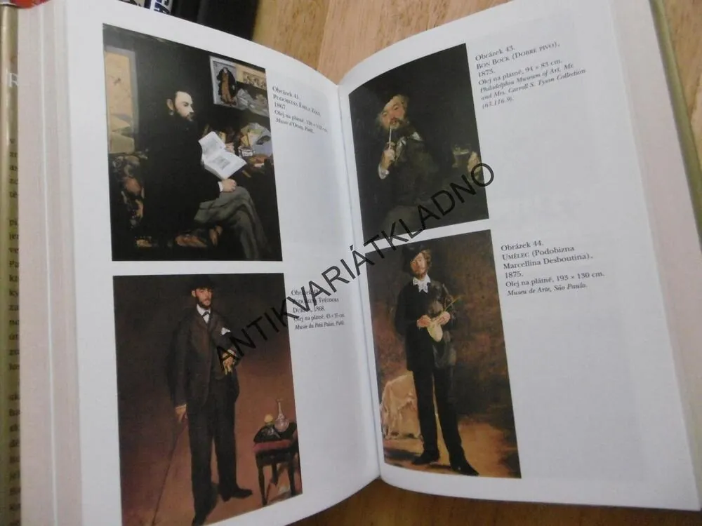 EDOUARD MANET, REBEL VE FRAKU, BETH ARCHER BROMBERTOVÁ, **an