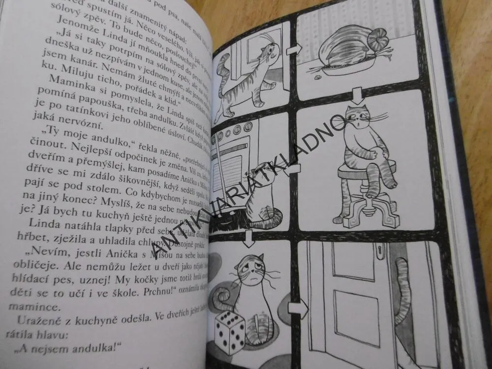 KOČKA LINDA, POKLAD RODINY, MARKÉTA ZINNEROVÁ, PETRA JELENOVÁ, **an
