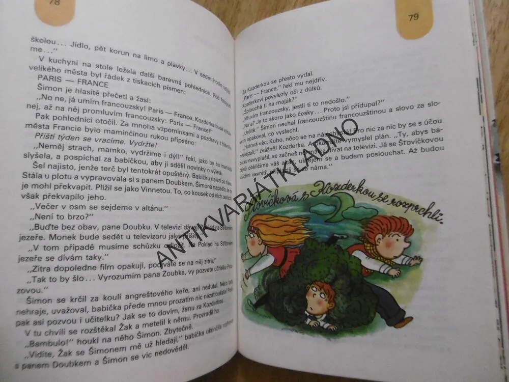 BABIČKA NA INZERÁT, LUDVÍK STŘEDA, 1990, **an