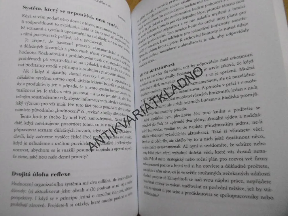 ABY VŠE KLAPALO, DAVID ALLEN, 