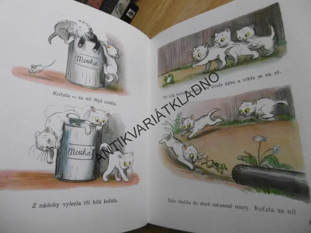 POHÁDKY A OBRÁZKY, V. SUTĚJEV,