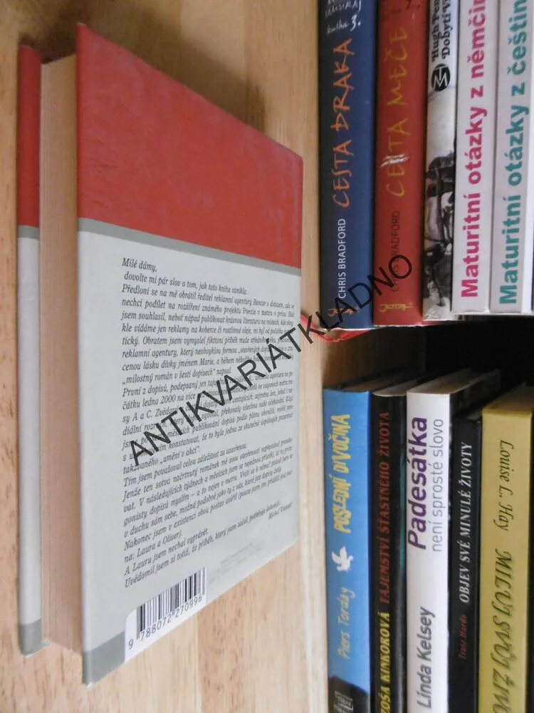 ROMÁN PRO ŽENY, MICHAL VIEWEGH, **an