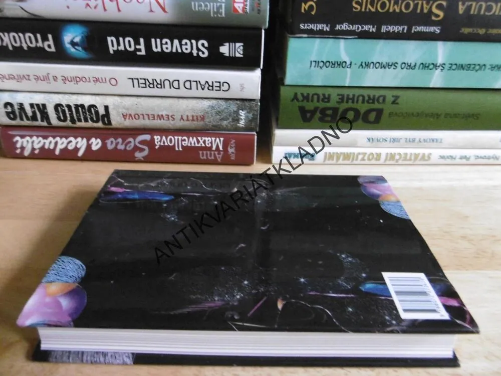 ZPÁTKY VE HŘE, MICHAL VIEWEGH, **an