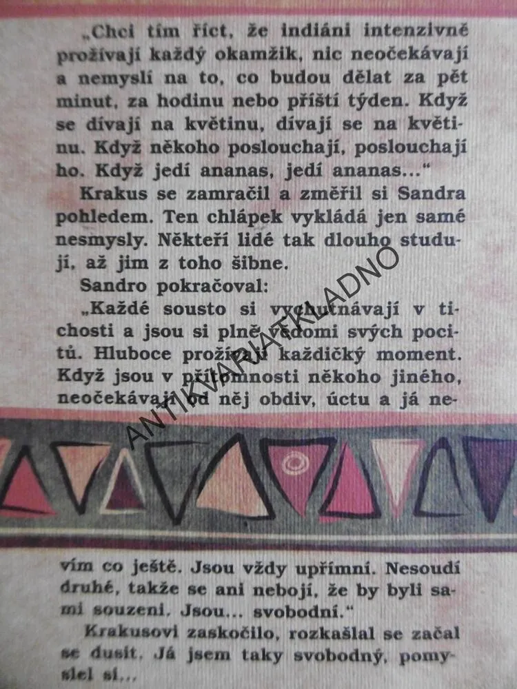 FILOZOF, KTERÝ NEBYL MOUDRÝ, LAURENT GOUNELLE, **an