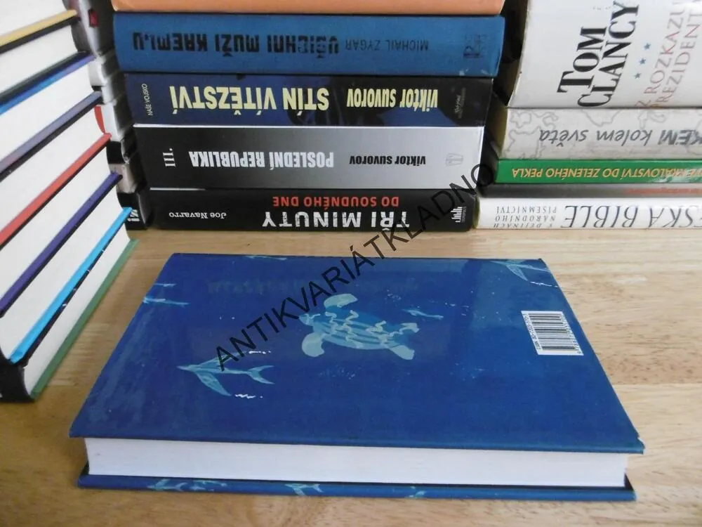 PÍ A JEHO ŽIVOT, YANN MARTEL, **an