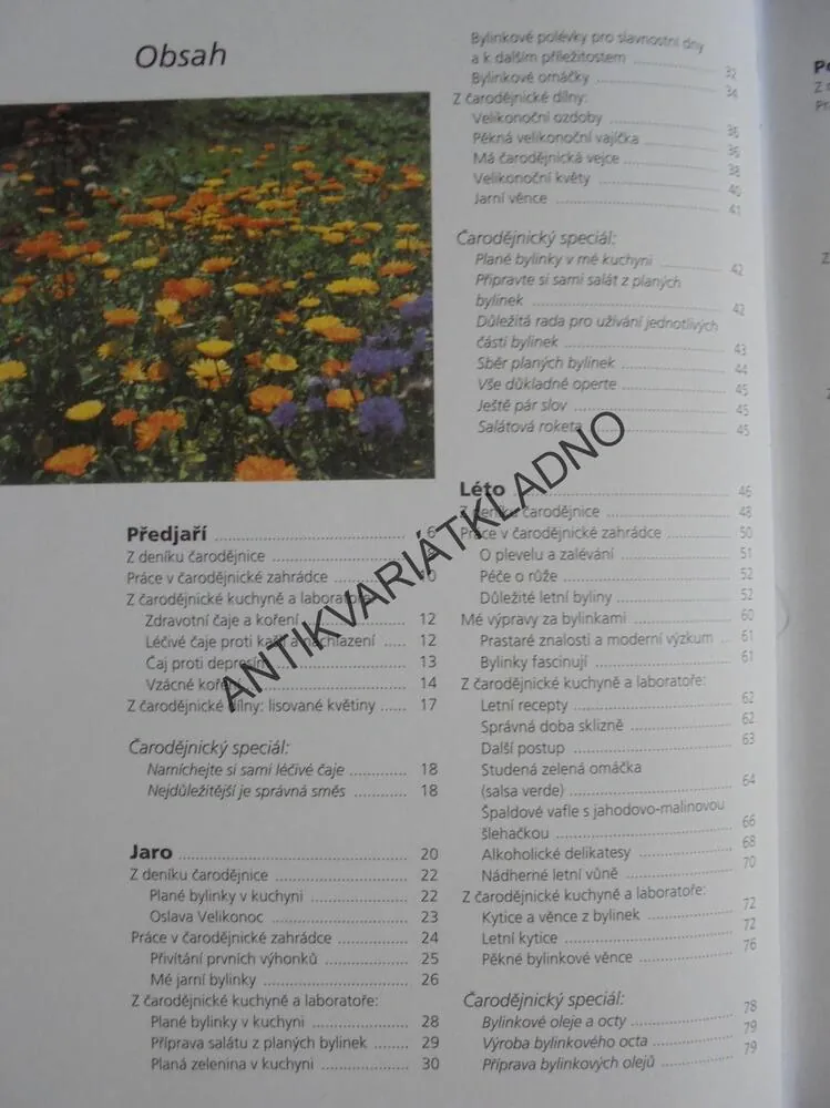 KOUZLA Z BYLINKOVÉ ZAHRÁDKY 1., ELÍXÍRY,ČAJE, MAST