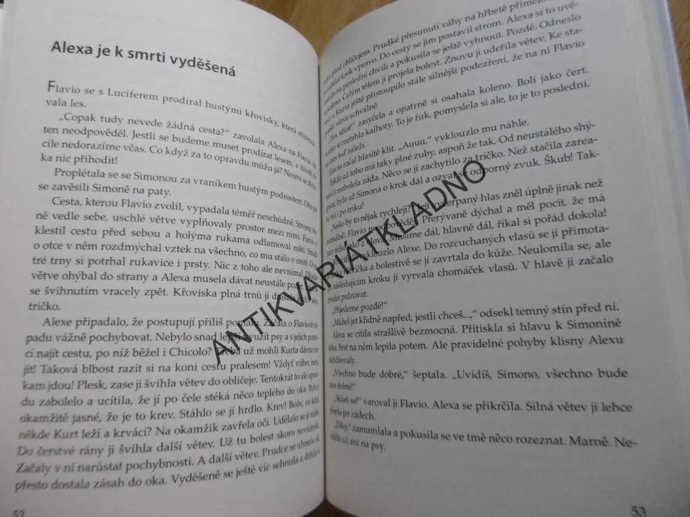 ALEXA CVIČITELKA KONÍ, VELKÁ ŠANCE, GABY HAUPTMANNOVÁ, **an