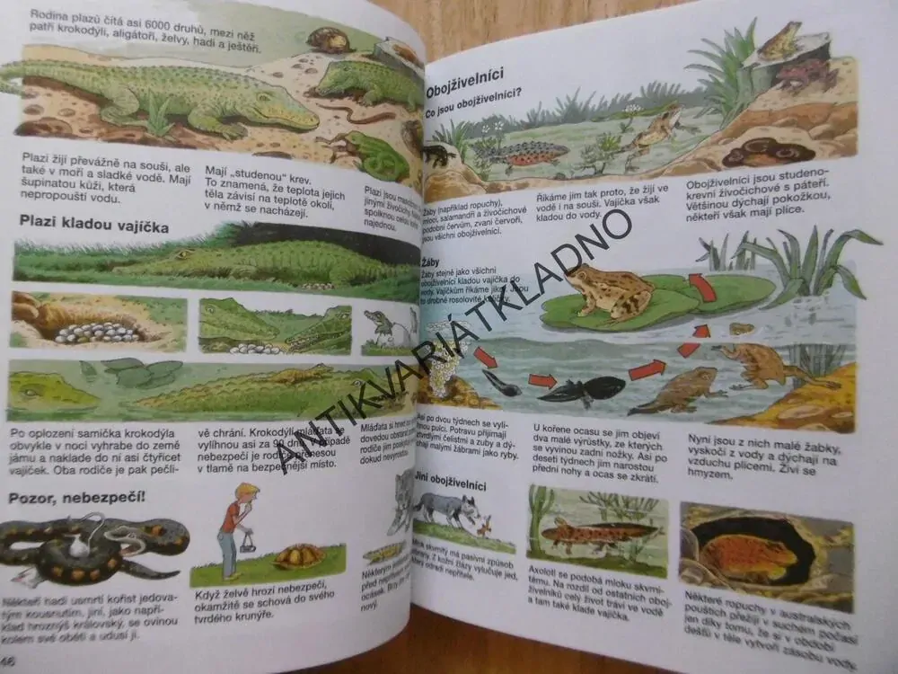 DĚTSKÁ OBRAZOVÁ ENCYKLOPEDIE, **an