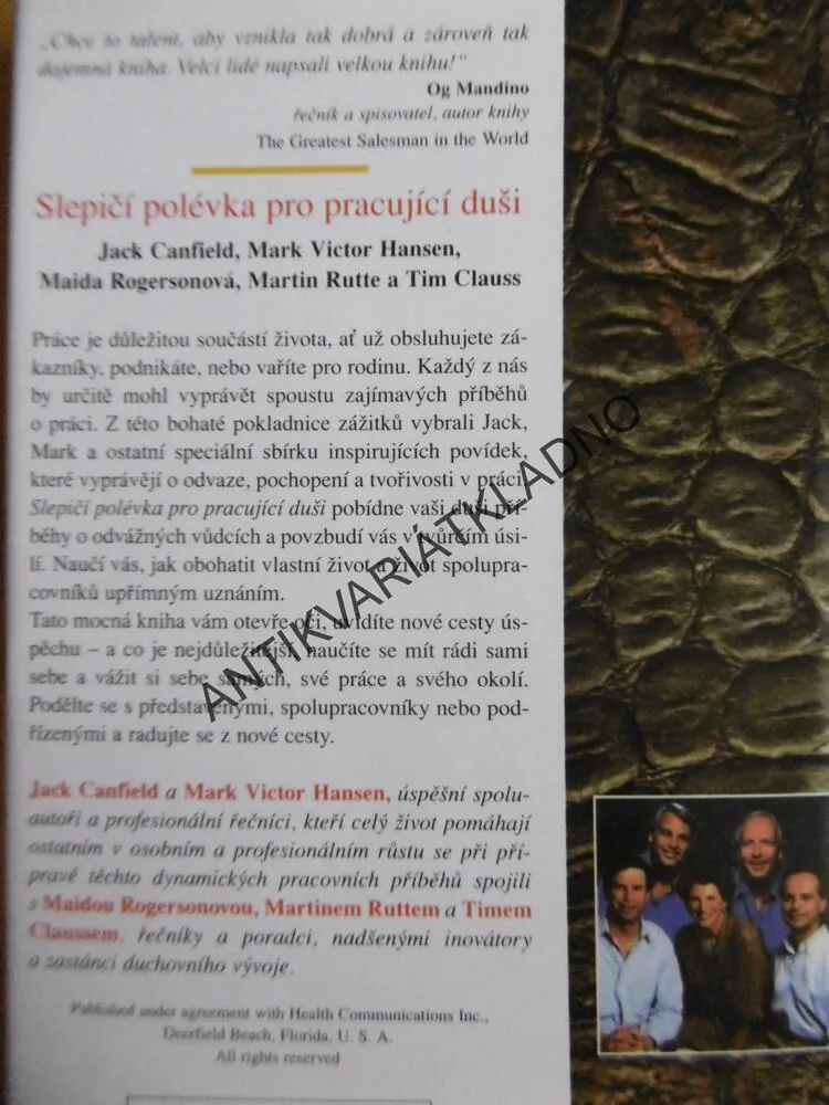 SLEPIČÍ POLÉVKA PRO PRACUJÍCÍ DUŠI,**an