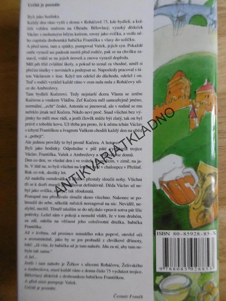 KLASICKÁ SLEPIČÍ POLÉVKA PRO ČESKOU DUŠI, **an