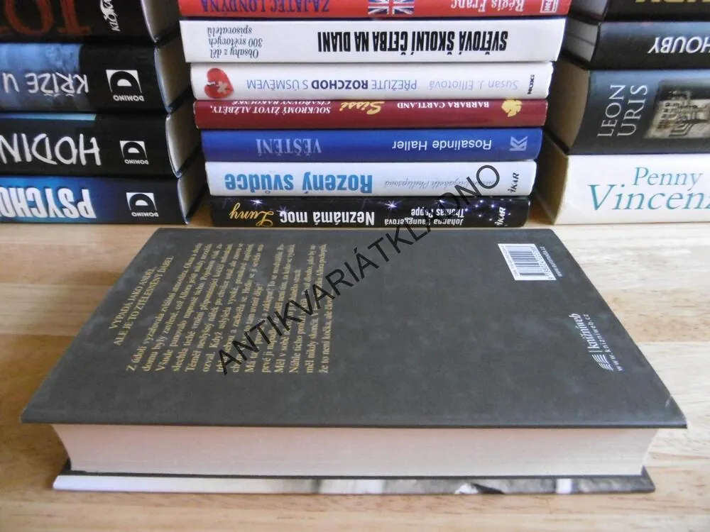 SBĚRATEL DĚTÍ, ĎÁBEL S TVÁŘÍ ANDĚLA, SABINE THIESLEROVÁ. **an