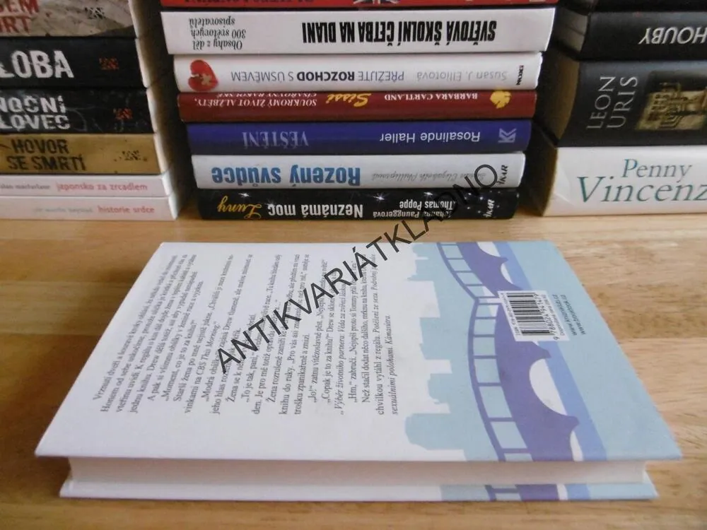 ČEKÁNÍ NA TOMA HANKSE, KERRY WINFREYOVÁ, **an