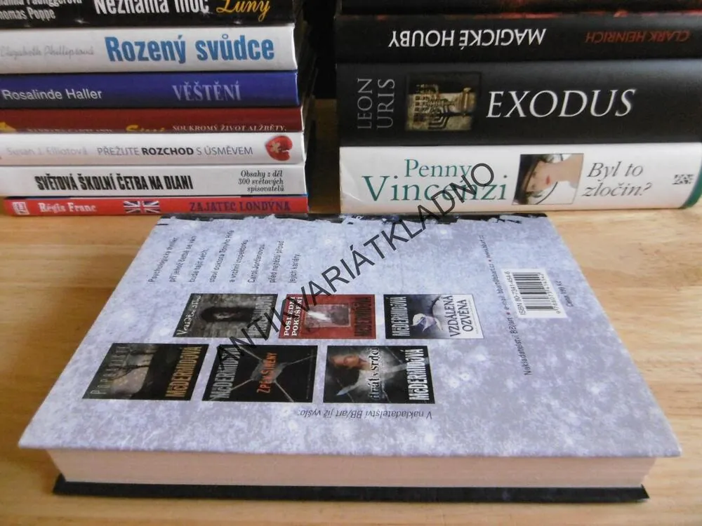 UTRPENÍ JINÝCH, VAL MCDERMIDOVÁ, **an