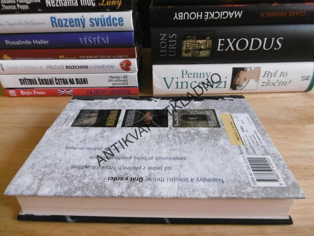 DRÁT V SRDCI, VAL MCDERMIDOVÁ, **an