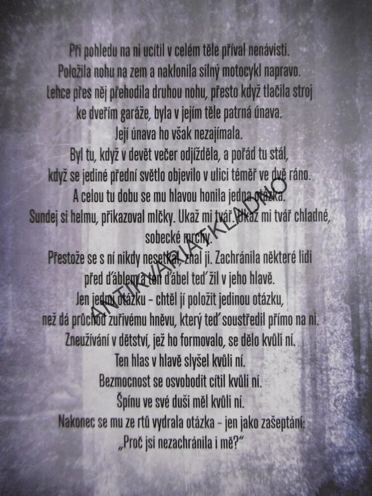 POKREVNÍ POUTA, ANGELA MARSONSOVÁ, **an