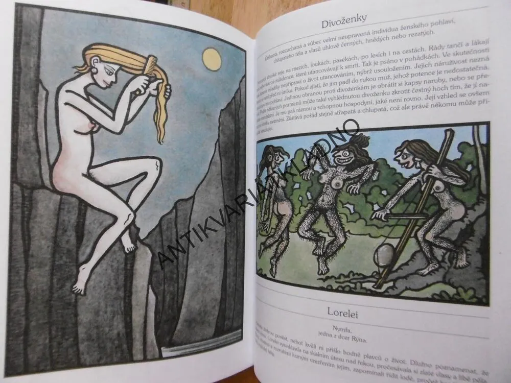 NEPRAKTŮV EROTICKÝ DEPOZITÁŘ, NEPRAKTA, **an