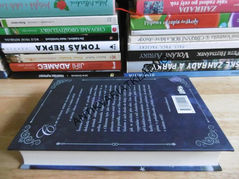 LÁSKA MEZI PÍSMENKY, JODI PICOULTOVÁ A SAMANTHA VAN LEEROVÁ, **an