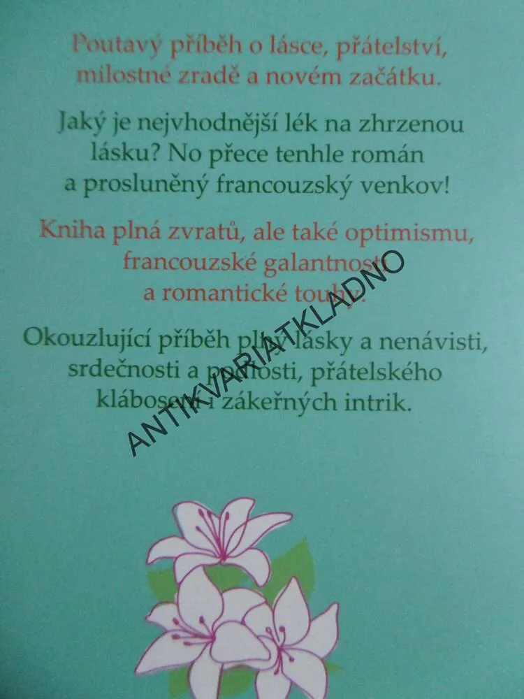 HOTÝLEK V ÚDOLÍ LOIRY, HELEN POLLARDOVÁ, **an