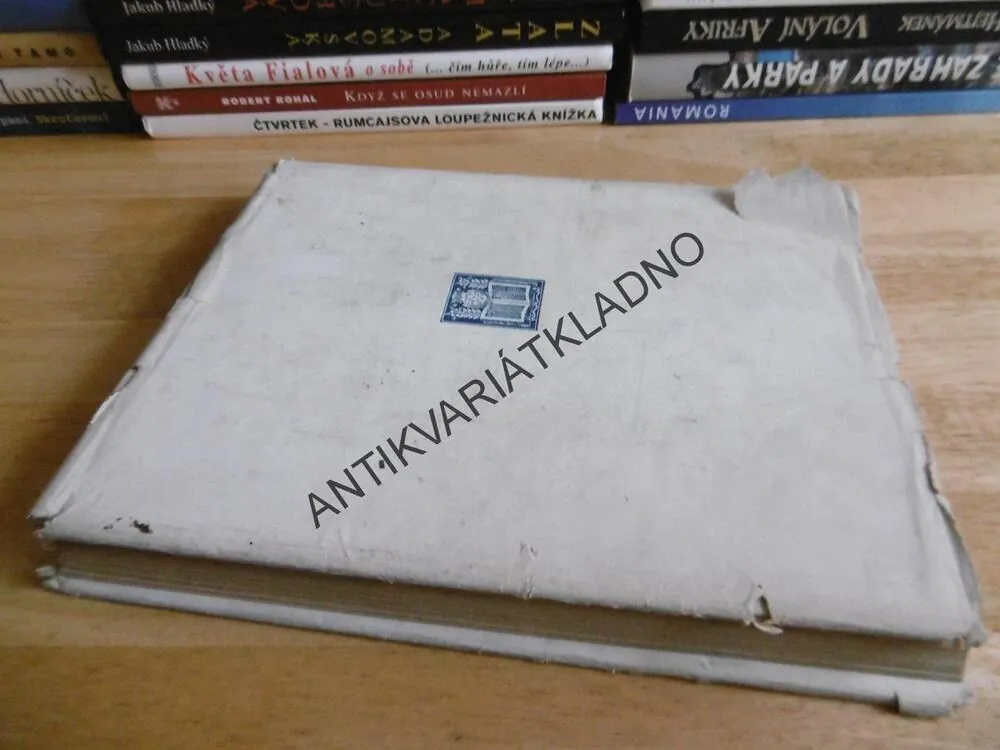 SIROTEK LOWOODSKÝ, SALAČ,CHARLOTTA BRONTEOVÁ,