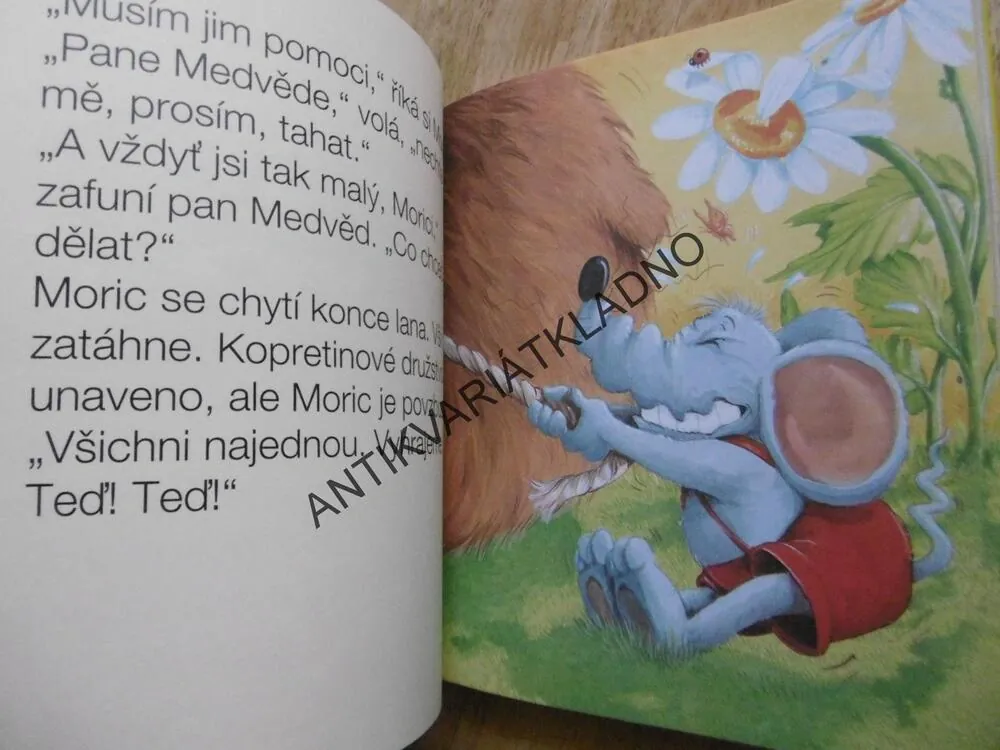 UŽ UMÍM ČÍST, 6-7 LET,**an