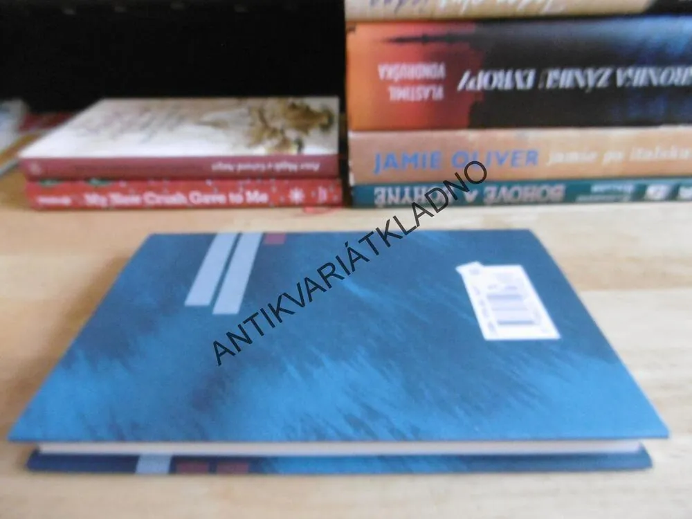ČERVENÝ OBOJEK, JEAN-CHRISTOPHE RUFIN, **an