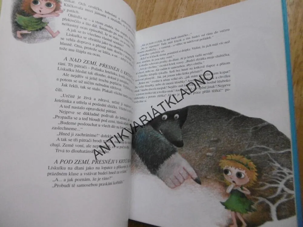 LÍSKULKA SE TOULÁ, IRENA GÁLOVÁ, VLASTA BARÁNKOVÁ, **an