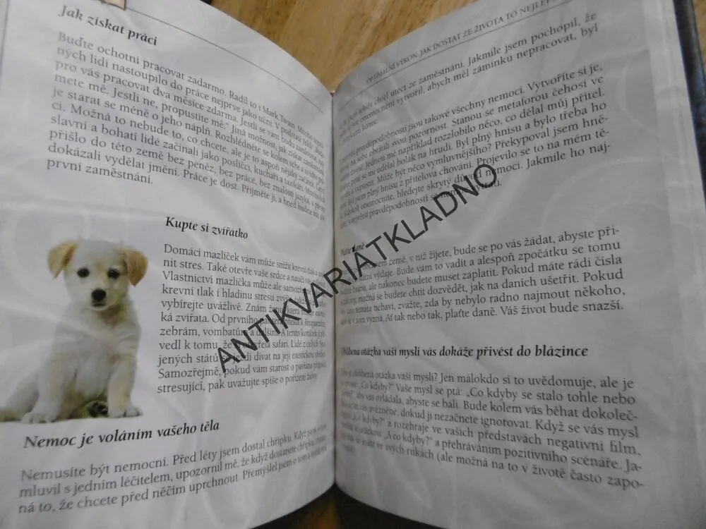 NÁVOD NA ŠŤASTNÝ ŽIVOT, JOE VITALE, **an