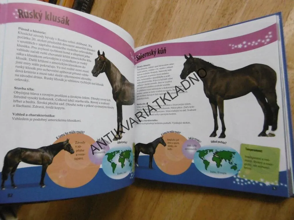 KONĚ NAŠEHO SVĚTA, CYNTHIA MCFARLAND, PONY CLUB, **an