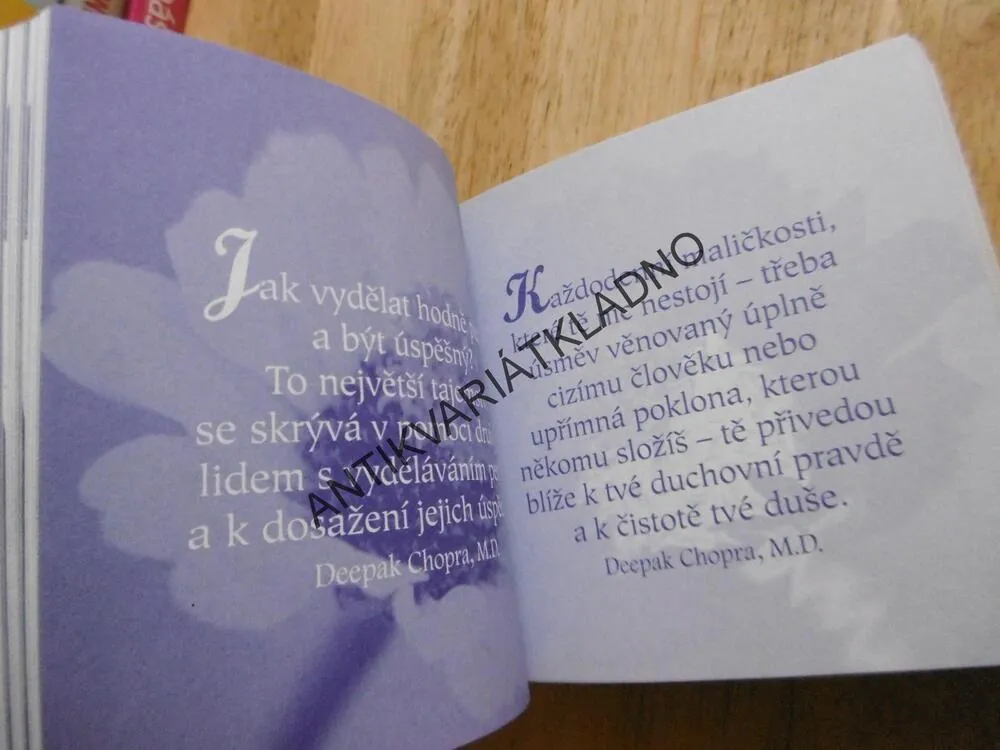 POZITIVNÍ MYŠLENKY PRO KAŽDÝ DEN, , LOUISE L.HAY A PŘÁTELÉ