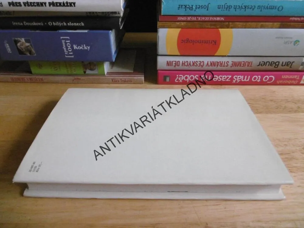DOUŠEK JEDU, ARTHUR RIMBAUD, **an