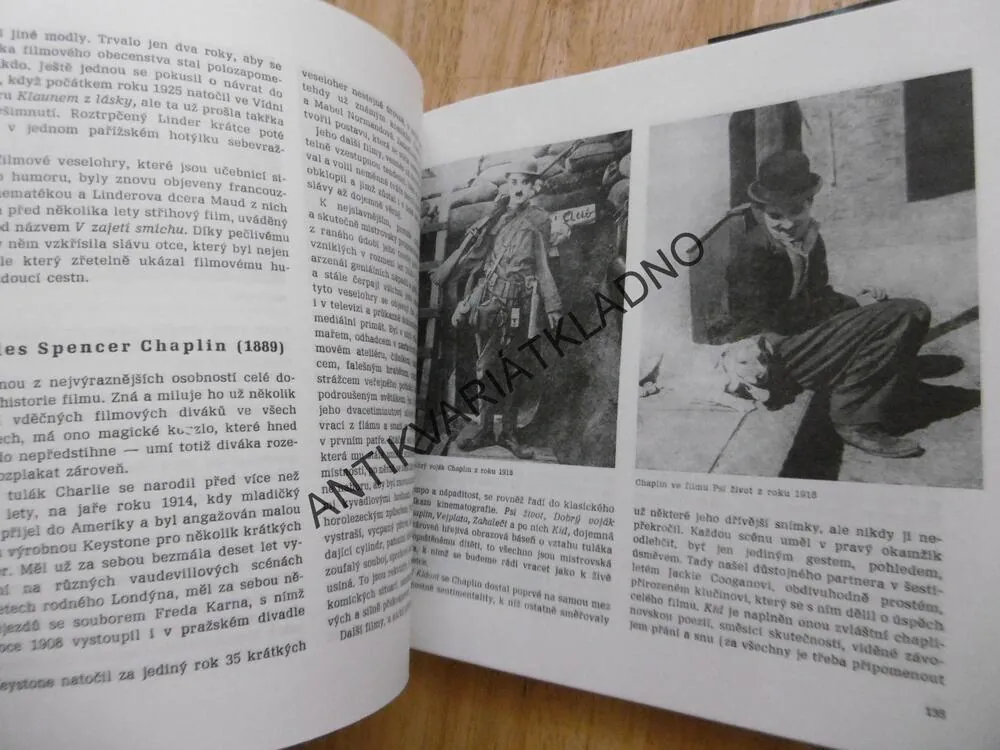 TO JE MI PĚKNÁ HISTORIE, MYRTIL FRÍDA**an