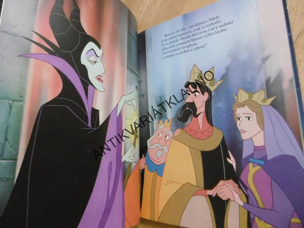 ŠÍPKOVÁ RŮŽENKA,  WALT DISNEY, **an