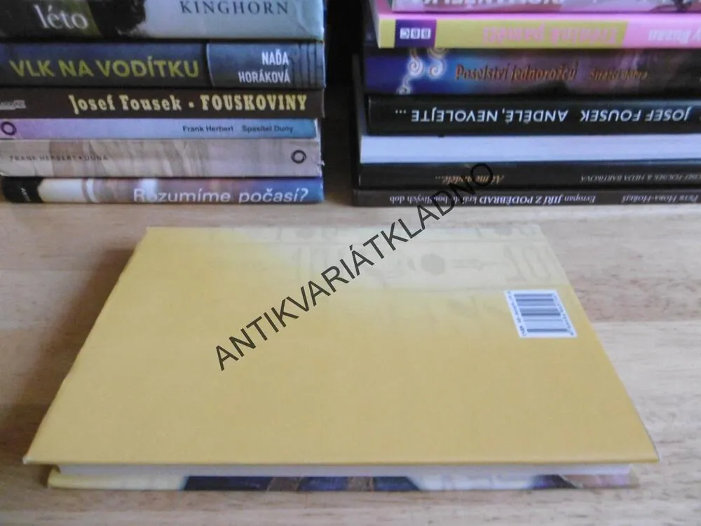 PSÁNO VE HVĚZDÁCH, KATHERINE O´NEAL, **an