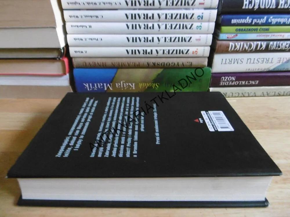 SBĚRATEL MOTÝLŮ, DOT HUTCHISONOVÁ, **an