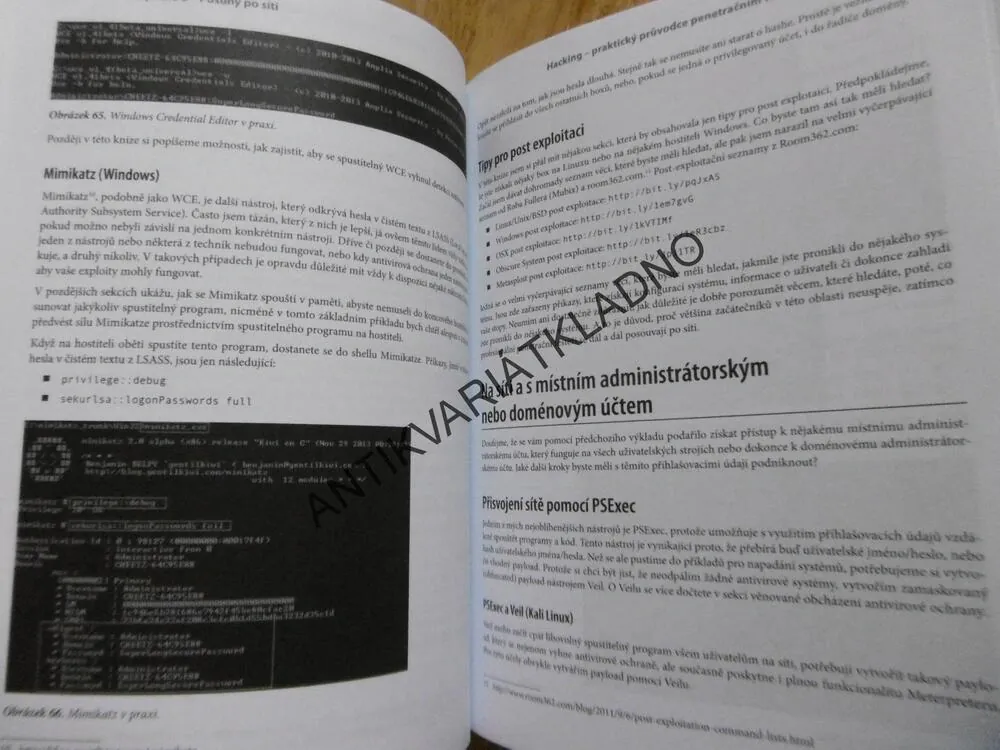HACKING, PRAKTICKÝ PRŮVODCE PENETRAČNÍM TESTOVÁNÍM, PETER KIM,