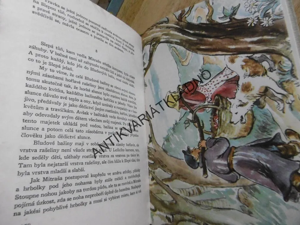 ZLATÝ LUH, MICHAIL PRIŠVIN, 1950  **an