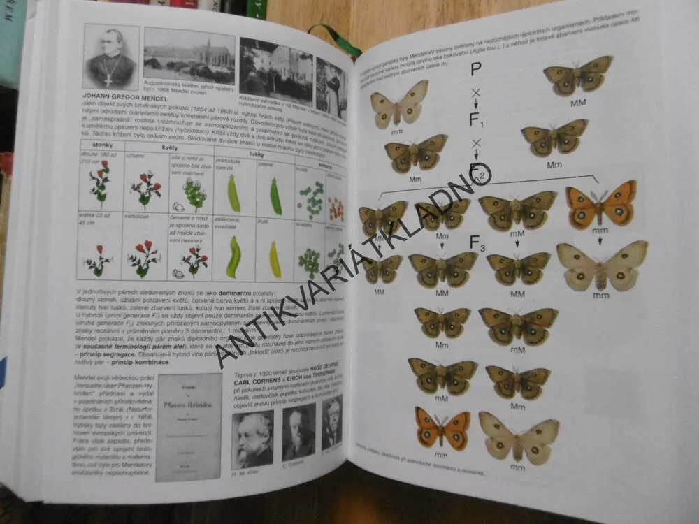 BIOLOGIE PRO GYMNÁZIA, JELÍNEK, ZICHÁČEK, NOVÉ VYDÁNÍ 2013