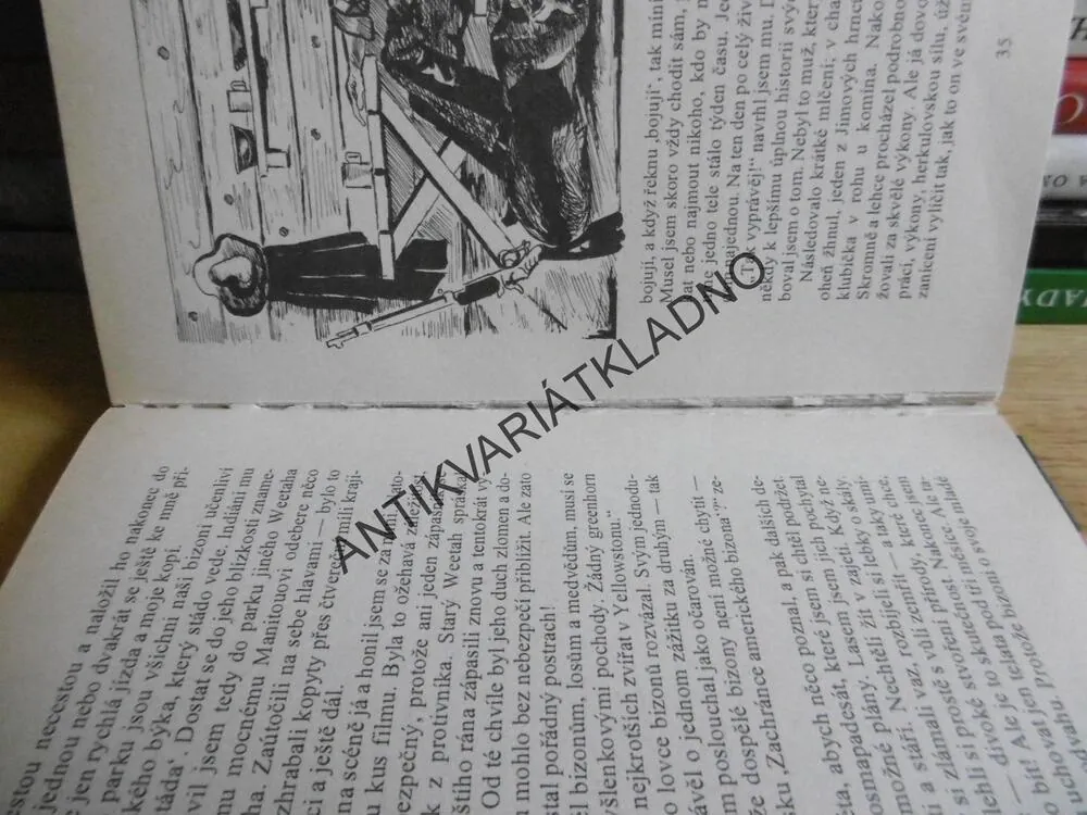 POSLEDNÍ LOVEC PRÉRIE, ZANE GREY, GLAJC, **an