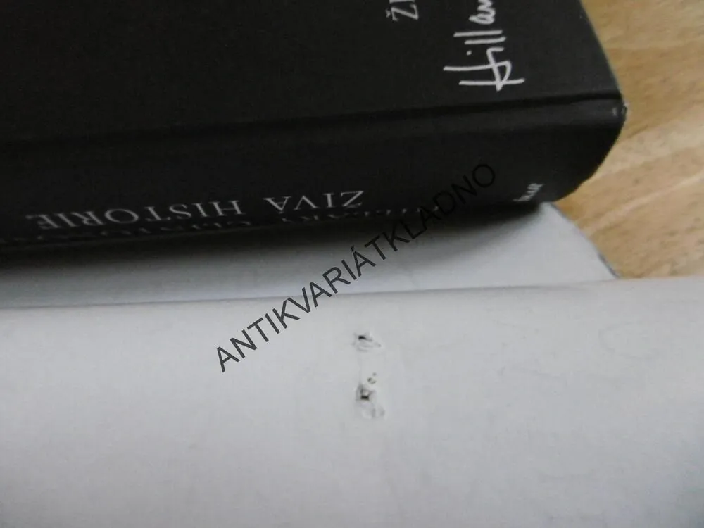 HILLARY RODHAM CLINTON, ŽIVÁ HISTORIE, **an