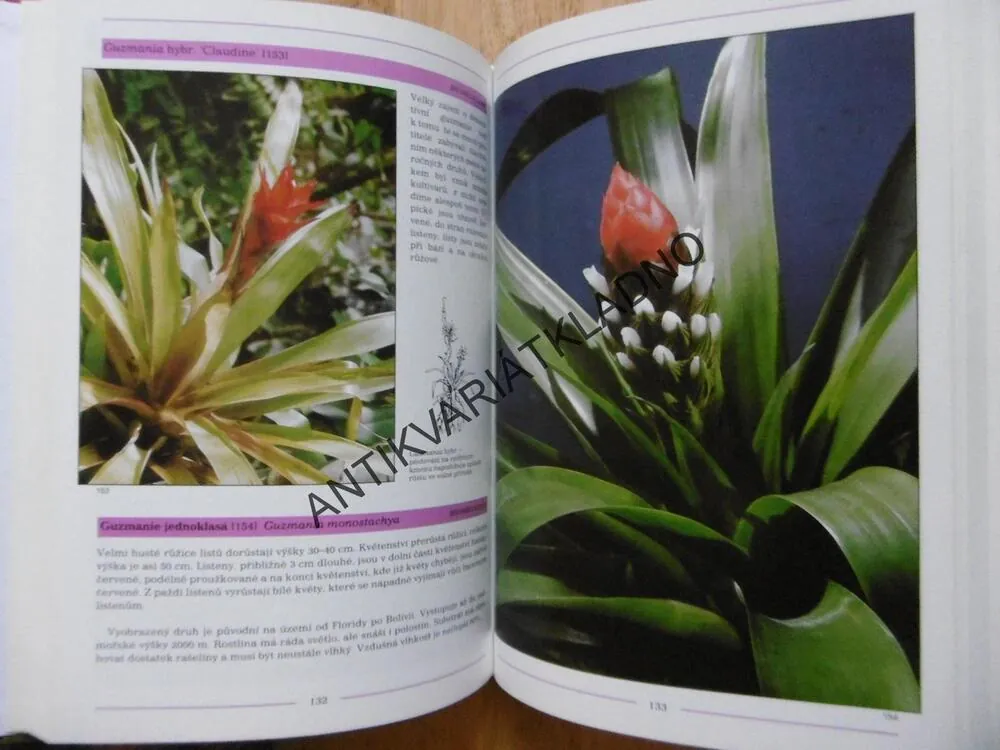 FOTOGRAFICKÝ ATLAS POKOJOVÉ ROSTLINY, ANNA SKALICKÁ, **an