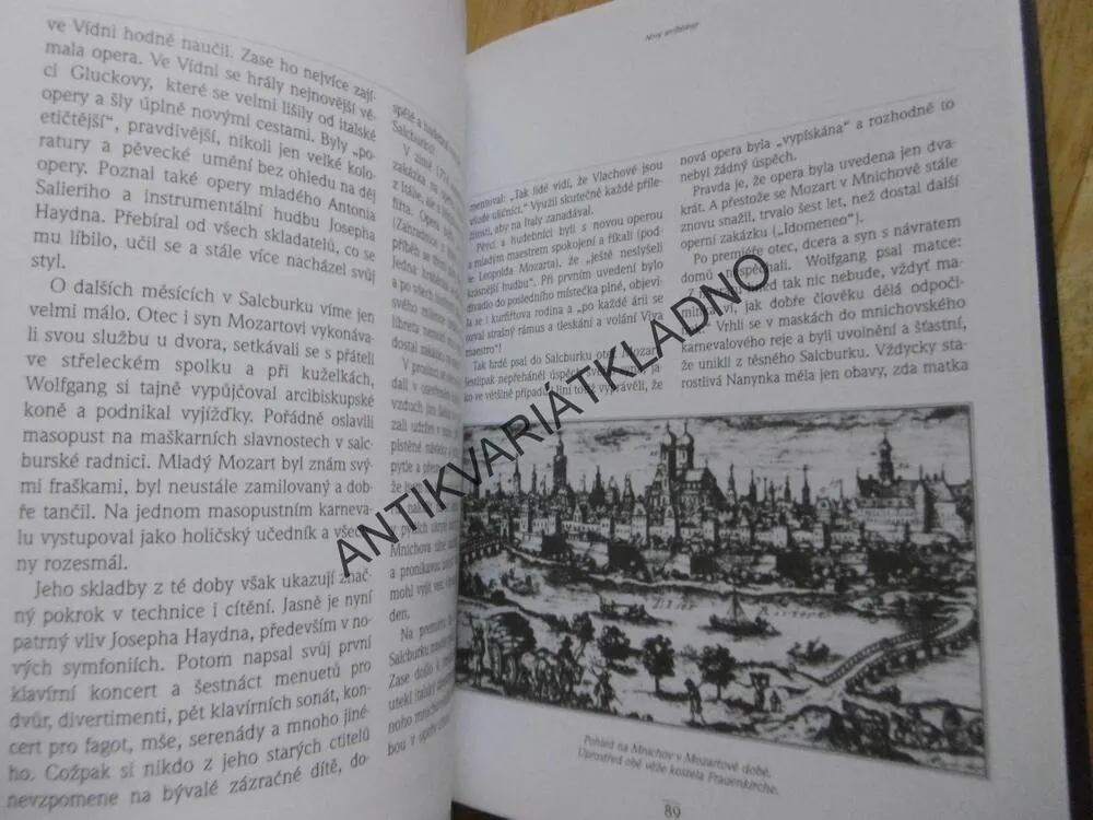 HLAVA PLNÁ HUDBY, ŽIVOT WOLFGANGA AMADEA MOZARTA, BRIGITTE HAMANNOVÁ, **an