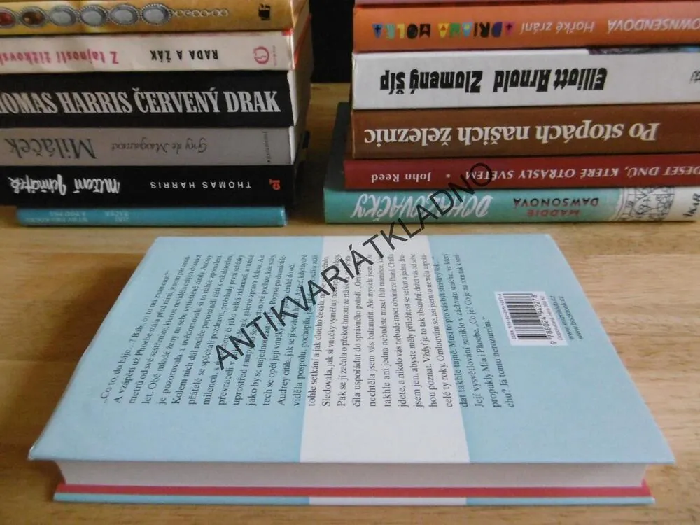 KÉŽ BYCH TI TO DOKÁZALA ŘÍCT, HANNAH BECKERMAN, **an